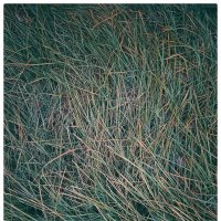 *** :: someone somewere