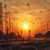 Переплетение :: Ирина 