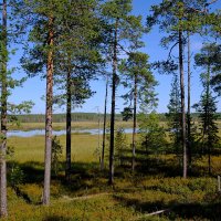 Карелия :: Андрей Зайцев