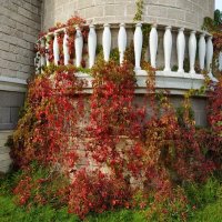 Красные наступают :: Андрей Лукьянов