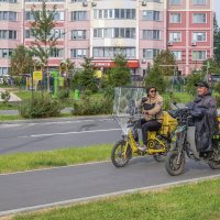 Совсем оборзели :: Валерий Иванович Совсем оборзели :: Валерий Иванович