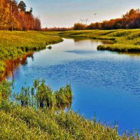 Золотая осень на Сыром Агане! :: Владимир 