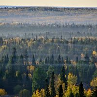 - :: Владимир Мигонькин