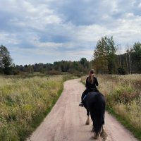 Сентябрьский день в полях. :: Ольга 