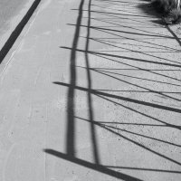 ... :: Денис Безногов