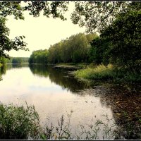 *** :: Aleksandr Gal