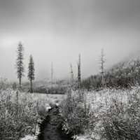 * :: Александр Иванов