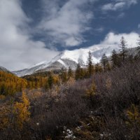 * :: Александр Иванов