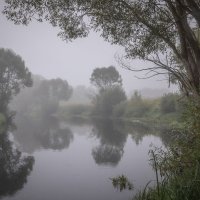 **** :: Елизавета .