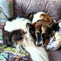 Ося :: Наталья 