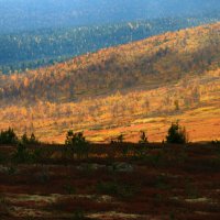 Сентябрь в горах Северного Урала :: Галина Ильясова Сентябрь в горах Северного Урала :: Галина Ильясова