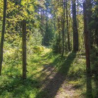 *** :: Сергей  Могутов 