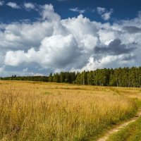 *** :: Андрей Андрианов *** :: Андрей Андрианов