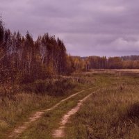 *** :: Андрей Андрианов