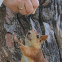 Давай уже! :: Александр Кондаков Давай уже! :: Александр Кондаков