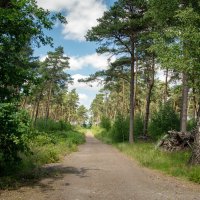 Дорожкой длинною... :: Николай Гирш