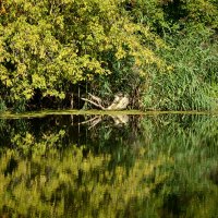 Пейзажи Старого Хопра :: Леонид Иванчук