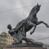 Укрощение коня :: Татьяна Машошина Укрощение коня :: Татьяна Машошина