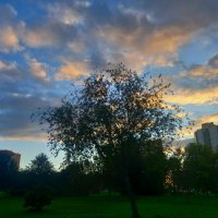 Закат :: Сапсан 