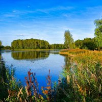 Природа Смоленщины в сентябре. :: Милешкин Владимир Алексеевич Природа Смоленщины в сентябре. :: Милешкин Владимир Алексеевич