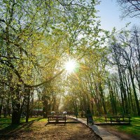 Солнце 8 :: Игорь Тельцов