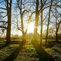 Солнце 10 :: Игорь Тельцов