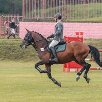 Заход на препядствие :: Анатолий Шумилин