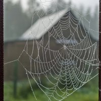 Осень :: Валерий Иванович