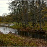 *** :: Aleksandr Gal