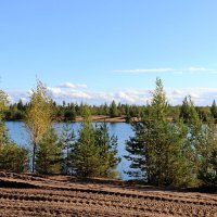 У озера :: Ольга 