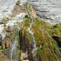 Пшехский водопаД :: Tata Wolf