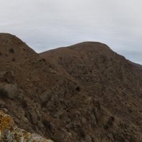 Природа Крыма :: Amazing Cosmea