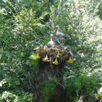 ГЕЛЕНДЖИК 2016 :: СЕРГЕЙ ФИЛОЧКИН