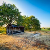 *** :: Игорь Чичиль