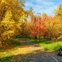 В осеннем парке.. :: Алексей Мезенцев В осеннем парке.. :: Алексей Мезенцев