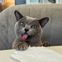 Вот вам! ) :: Сергей Б. Вот вам! ) :: Сергей Б.