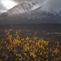 * :: Александр Иванов