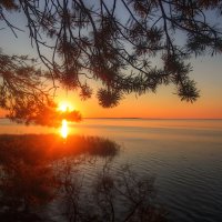 *** :: Сергей Григорьев