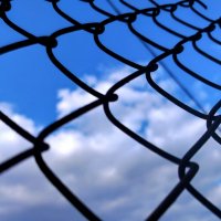 через сеть :: Алексей Ильичёв