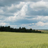 Сельский пейзаж :: Наталья Лунева 