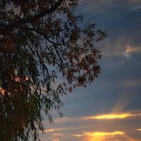 Луч Солнца золотого... :: Леонид Абросимов
