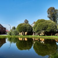Пруд "Церемоново болото" в Городце :: Алексей Р.