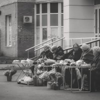 Разговор о насущном (чб) :: Сергей Царёв Разговор о насущном (чб) :: Сергей Царёв