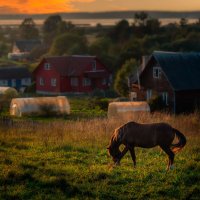 Тихий вечер :: Aliaksandr Panchanka