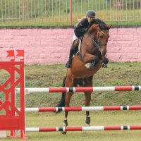 Конкур :: Анатолий Шумилин