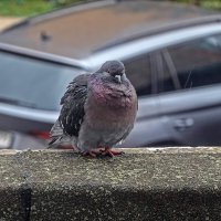 Похолодало :: Валерий Иванович