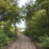 По дорге к водохранилищу :: Валентин Семчишин По дорге к водохранилищу :: Валентин Семчишин