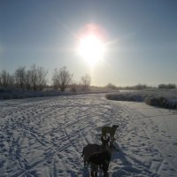 Утро :: Anna Ivanova