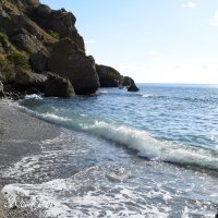 Природа Крыма :: Amazing Cosmea