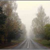 Осенний туман :: Aleksandr Gal
